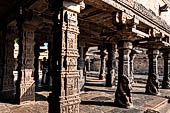 The great Chola temples of Tamil Nadu - The Airavatesvara temple of Darasuram. The peripheral columns of the  mandapa with seated yalis at the base. 